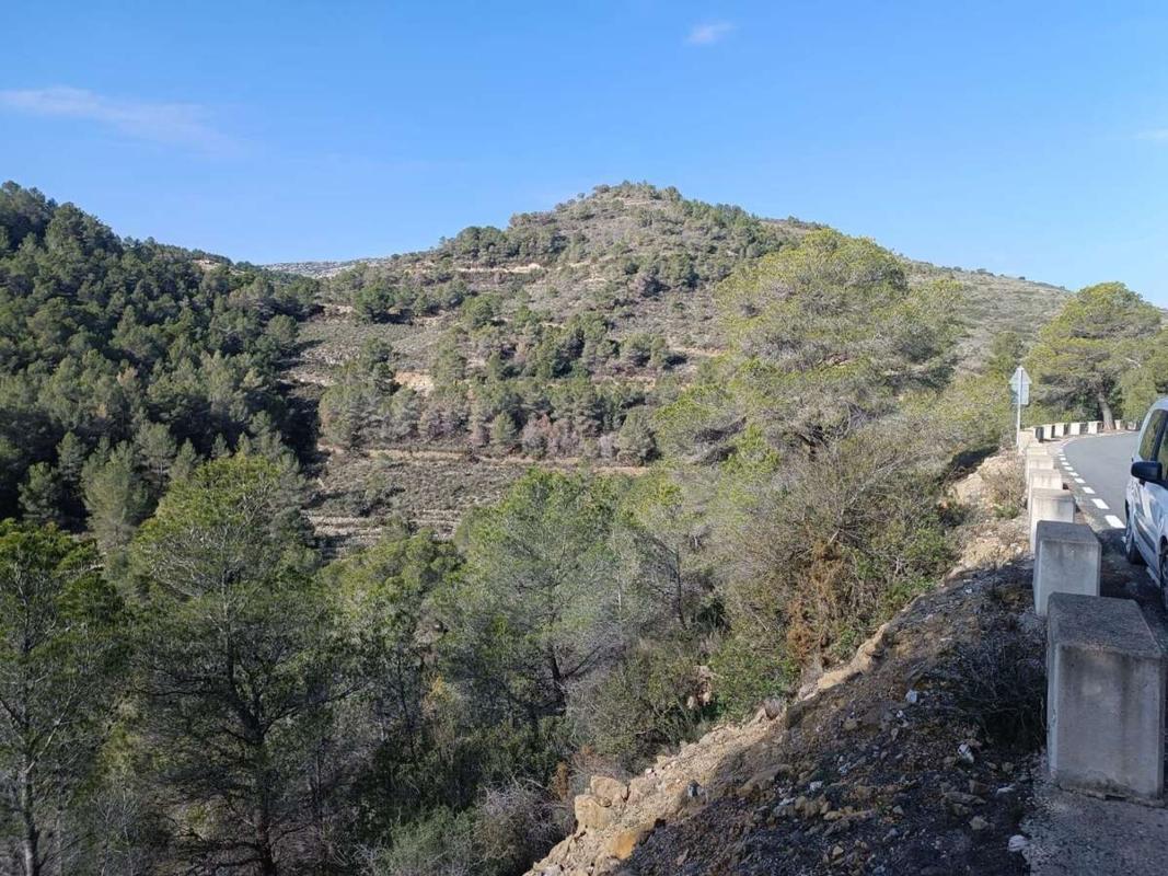 Land for sale in Llíber, Alicante photo 5