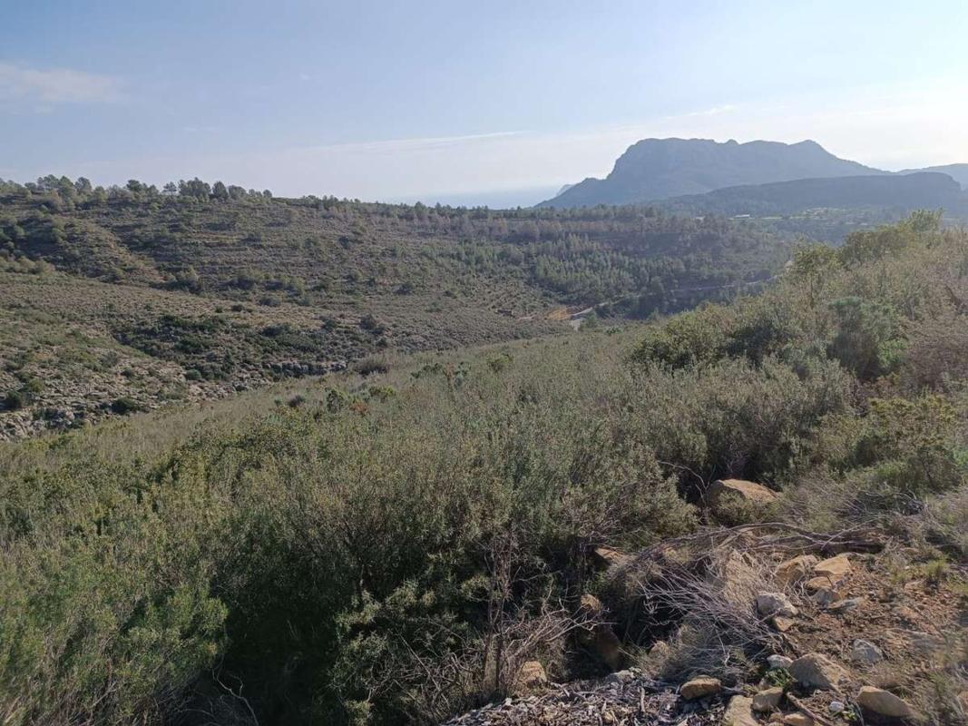 Land for sale in Llíber, Alicante photo 1
