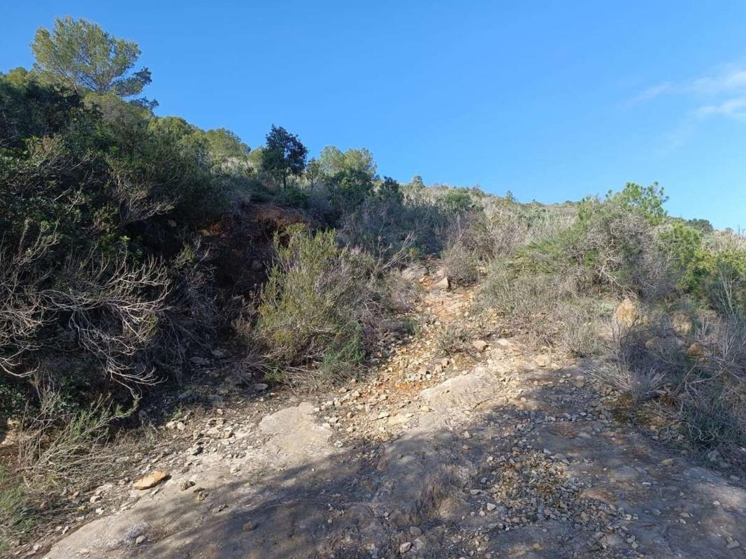 Land for sale in Llíber, Alicante photo 3