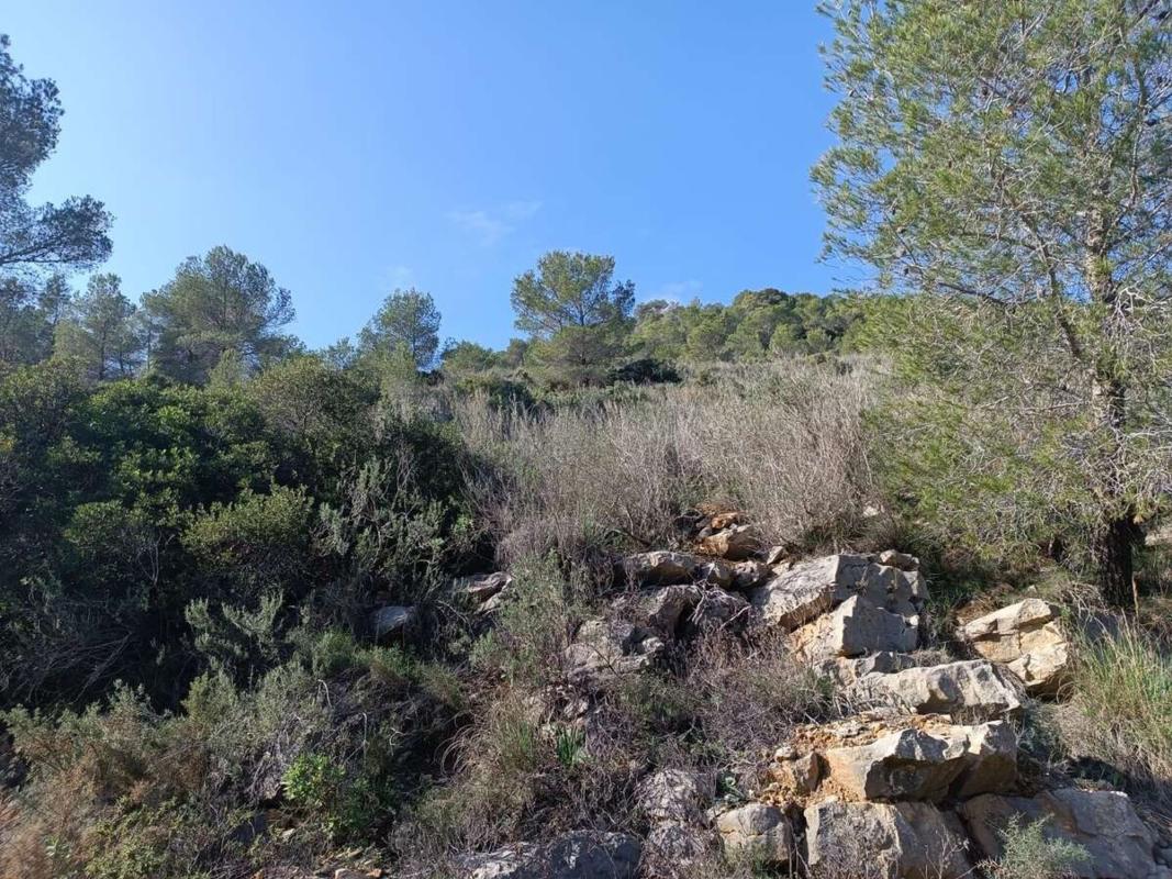 Land for sale in Llíber, Alicante photo 4