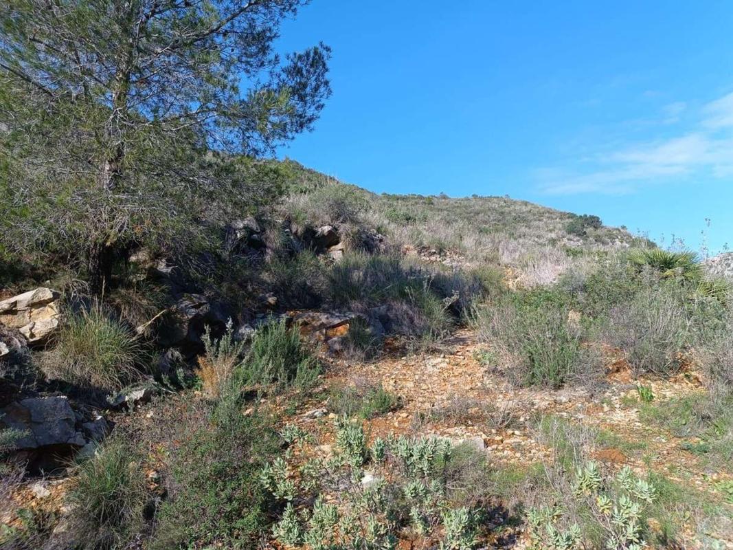 Land for sale in Llíber, Alicante photo 5