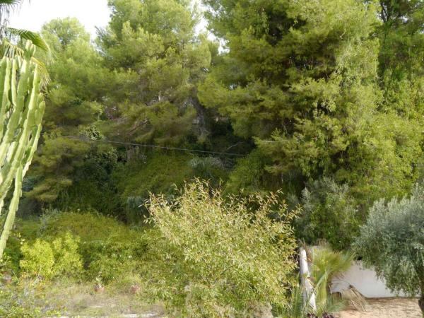 Terreno en Cala Advocat - Baladrar, Benissa photo 2