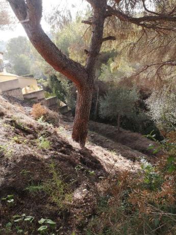 Terreno en Cala Advocat - Baladrar, Benissa photo 4