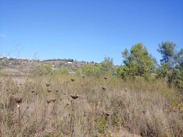 Terreno en Benissa pueblo, Benissa photo 1