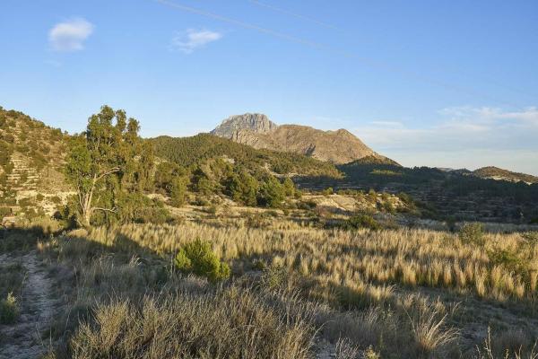 Terreno en Partida Almusent de Baix, 15, Sella photo 1