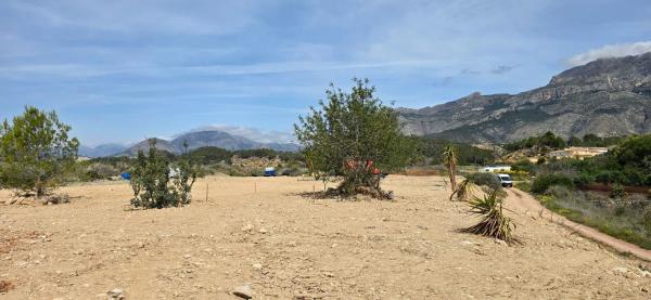 Terreno en Altea la Vella, Altea photo 4
