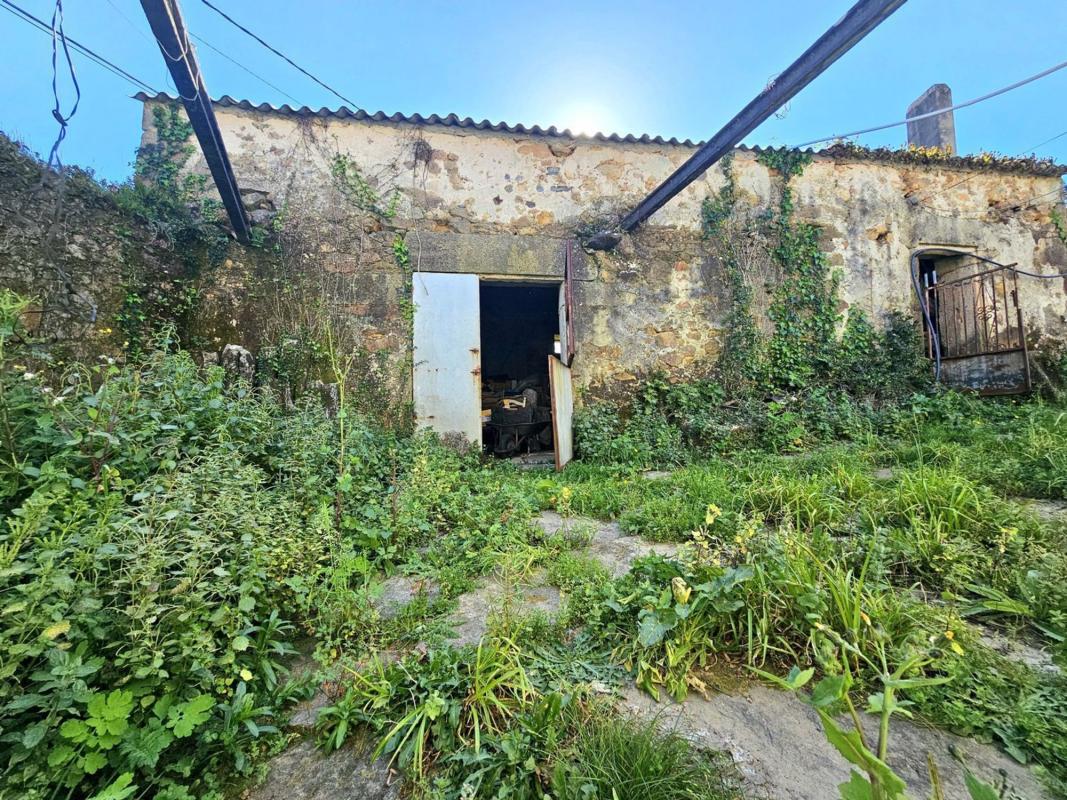 Properties for sale and rent in Spain photo 5