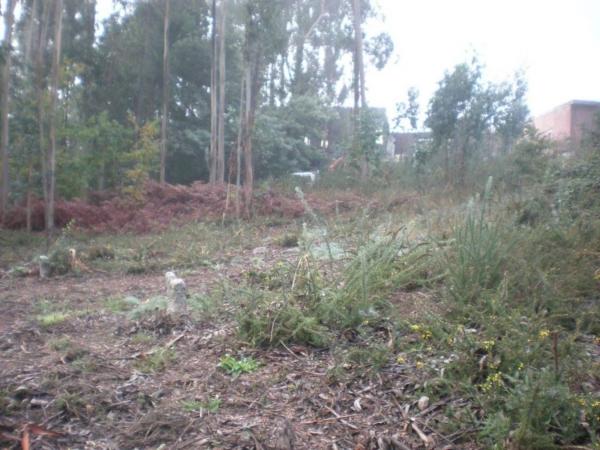Finca rústica en venta en Finca rústica en Miño , Miño thumbnail 2