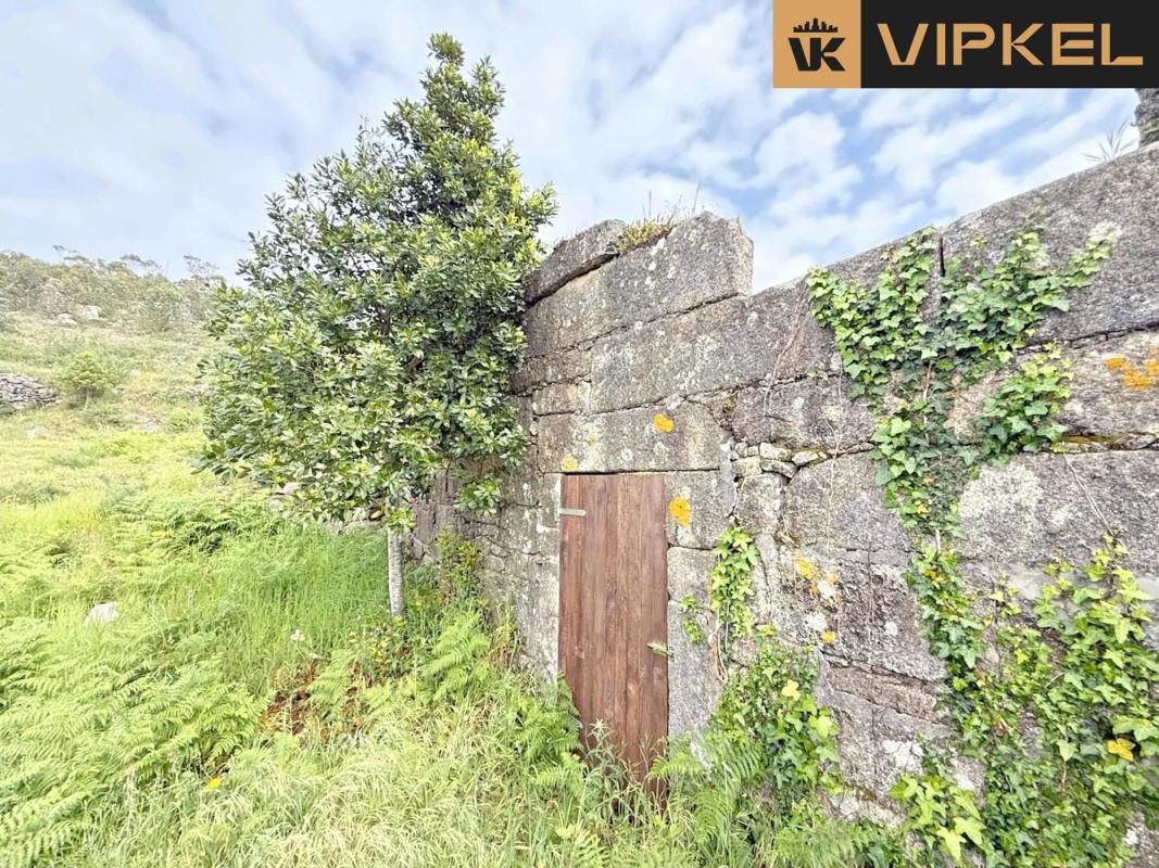 Propiedades en venta y alquiler en España photo 5