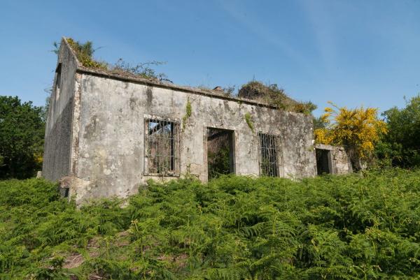 Продаётся загородный участок в  Finca rústica en san pedro de muro, Porto do Son , Порту до Сон photo 1