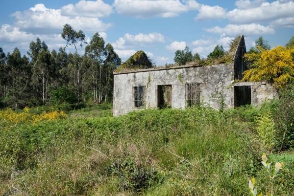 Продаётся загородный участок в  Finca rústica en san pedro de muro, Porto do Son , Порту до Сон photo 2