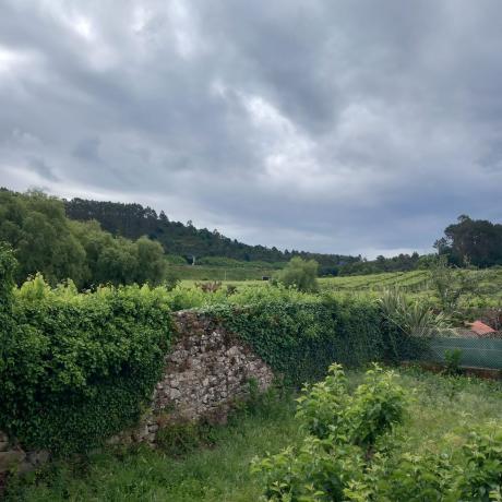 Casa rural en Retén, 89, Padron photo 4