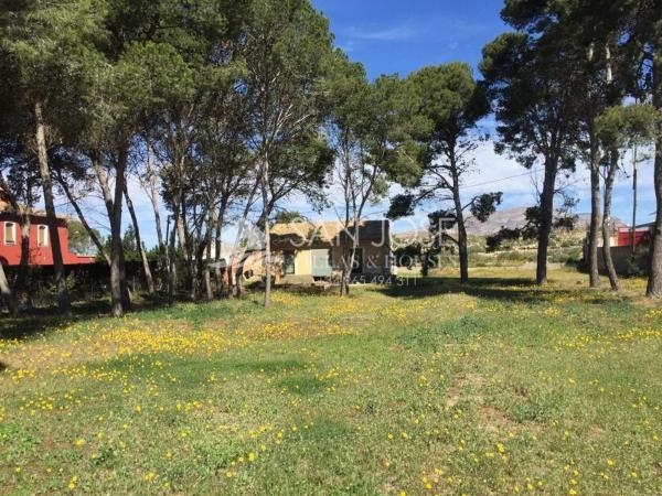 Terreno en Monforte del Cid photo 1