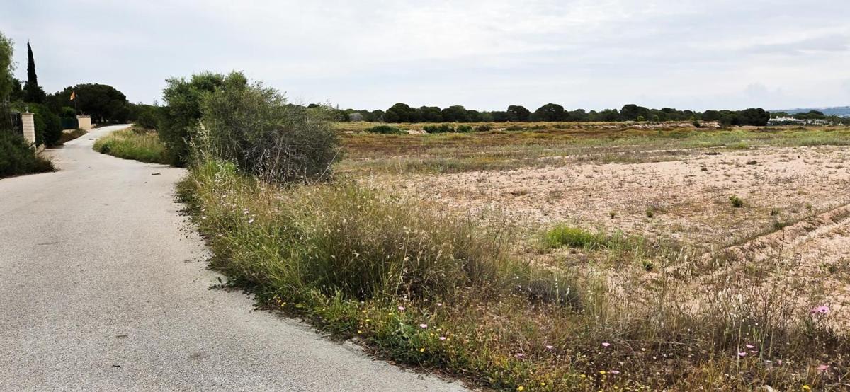 Terreno en venta en Elche / Elx, Alicante photo 2