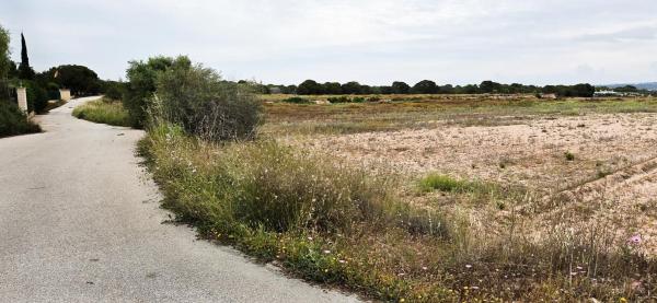 Terreno en Valverde, Elche / Elx photo 2