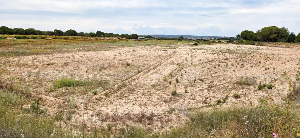 Terreno en venta en Elche / Elx, Alicante photo 3