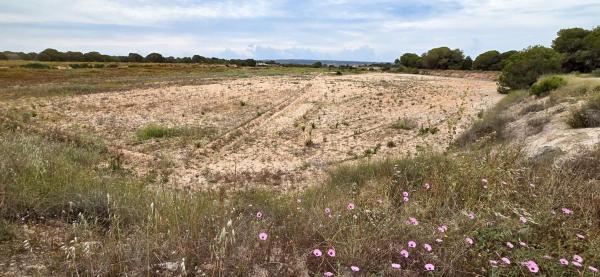 Terreno en Valverde, Elche / Elx photo 4