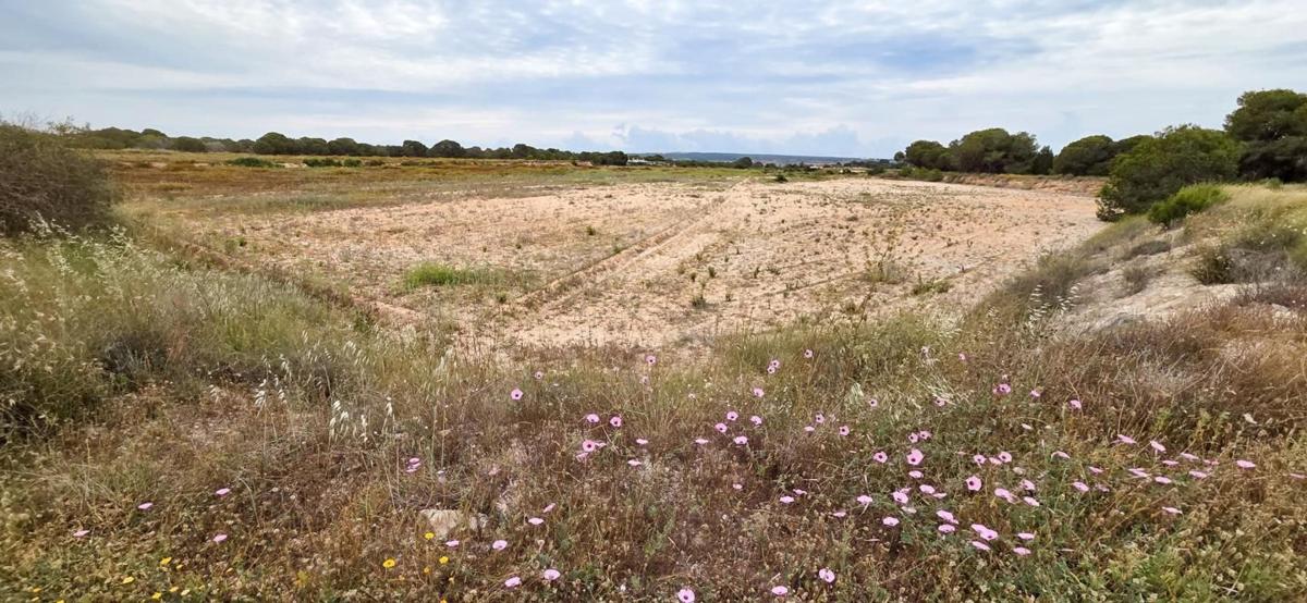 Terreno en venta en Elche / Elx, Alicante photo 5