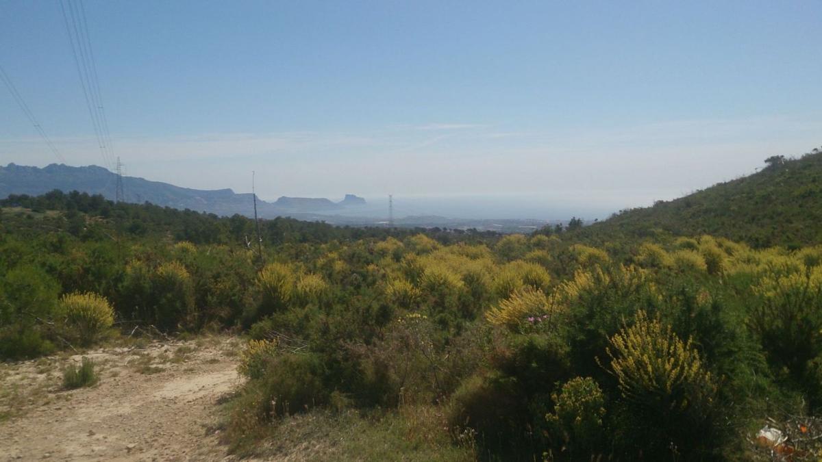 Terreno en venta en Finestrat, Alicante photo 3