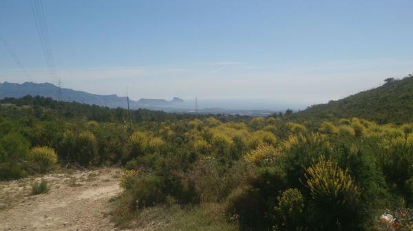 Terreno en Partida Amanellos, 649, Finestrat Pueblo, Finestrat photo 3