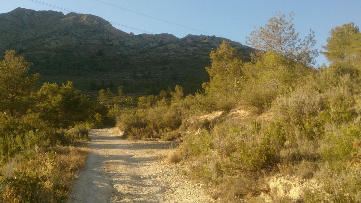 Terreno en venta en Finestrat, Alicante photo 5