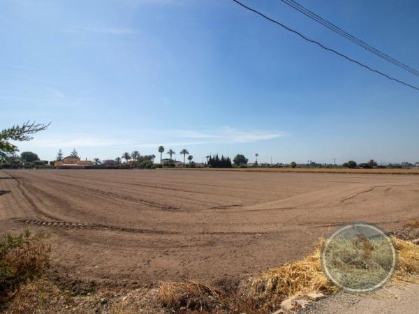 Terreno en Vereda la Florida, Dolores photo 1