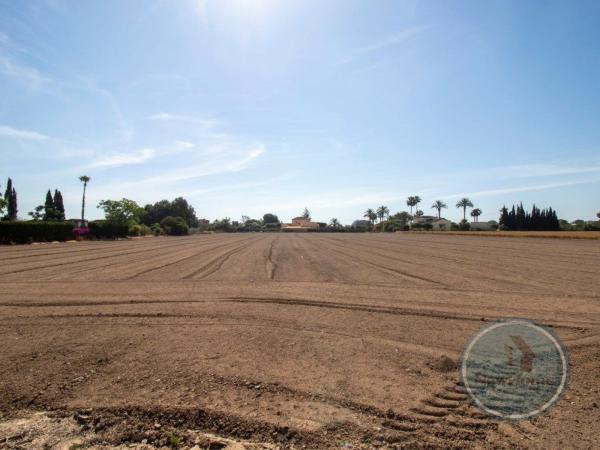 Terreno en Vereda la Florida, Dolores photo 2