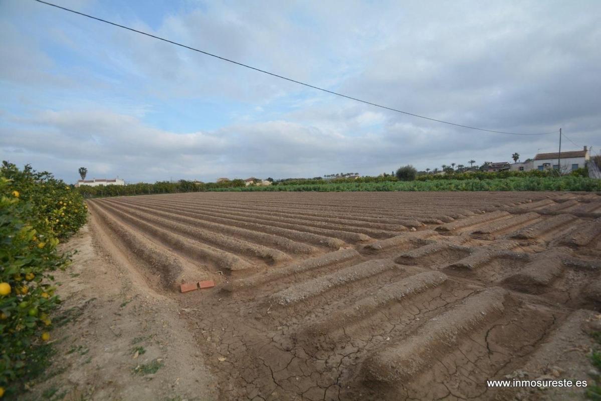 Terreno en venta en Orihuela, Alicante photo 1