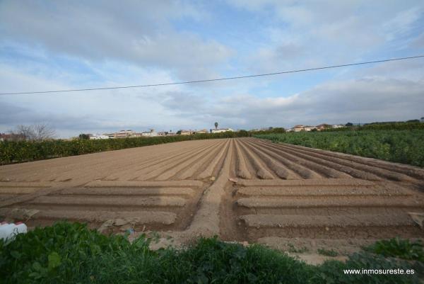 Terreno en Molins-Campaneta-San Bartolomé, Orihuela photo 3