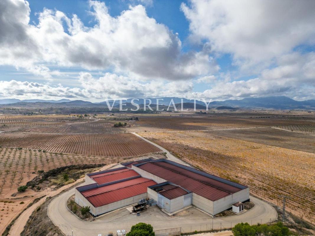 Terreno en venta en Pinoso, Alicante photo 3
