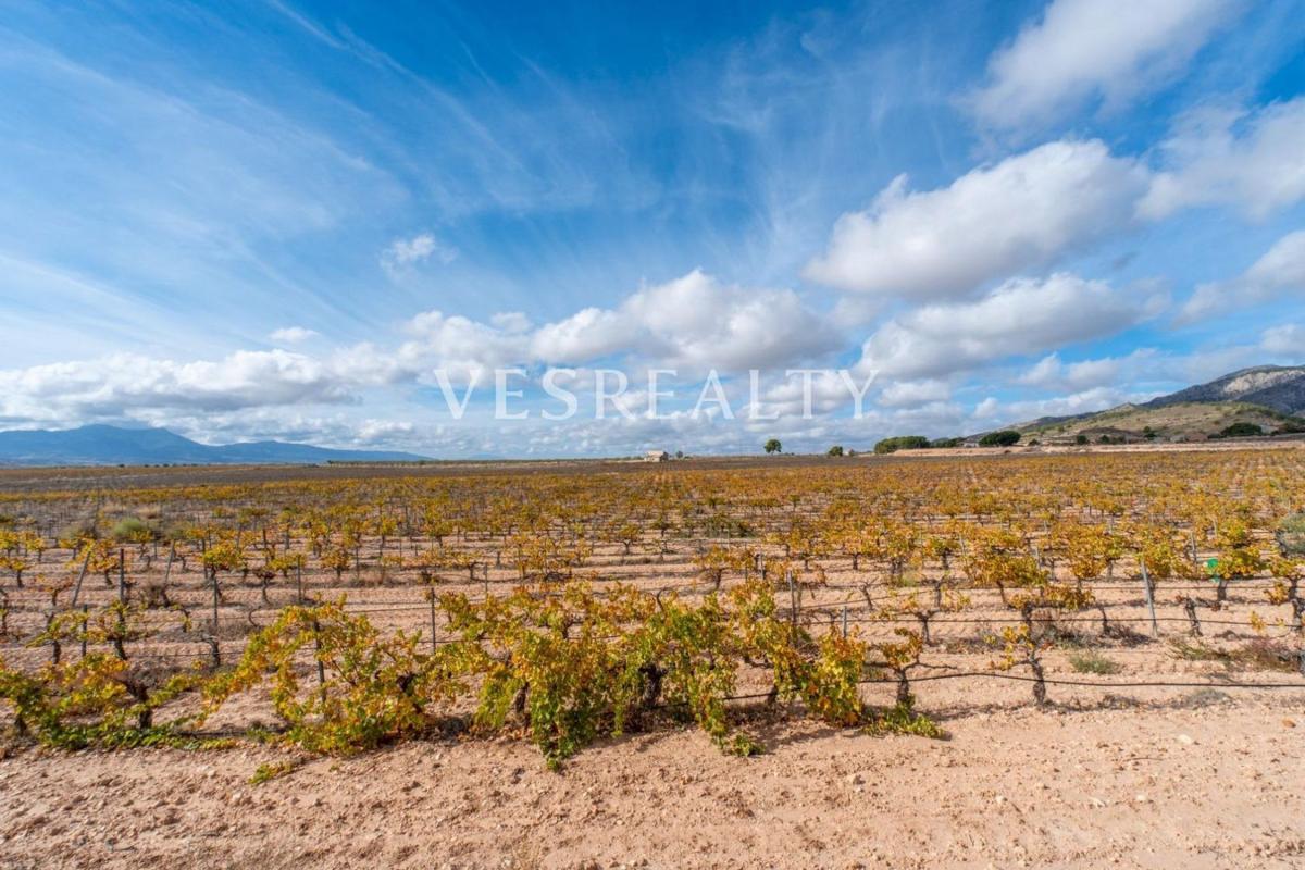 Terreno en venta en Pinoso, Alicante photo 4