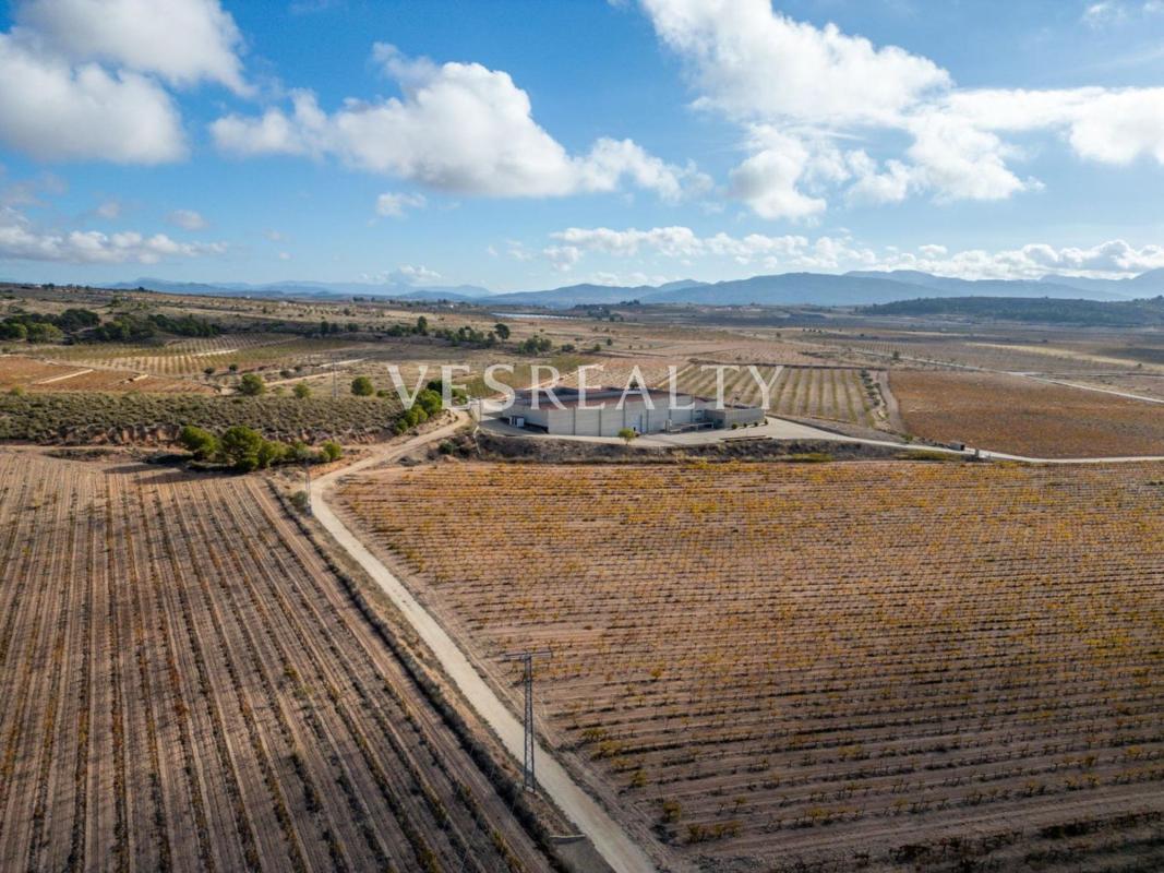 Terreno en venta en Pinoso, Alicante photo 5