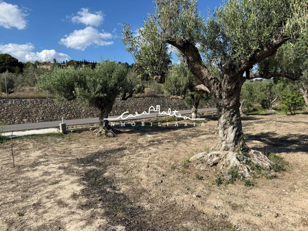 Land for sale in Altea, Alicante photo 3