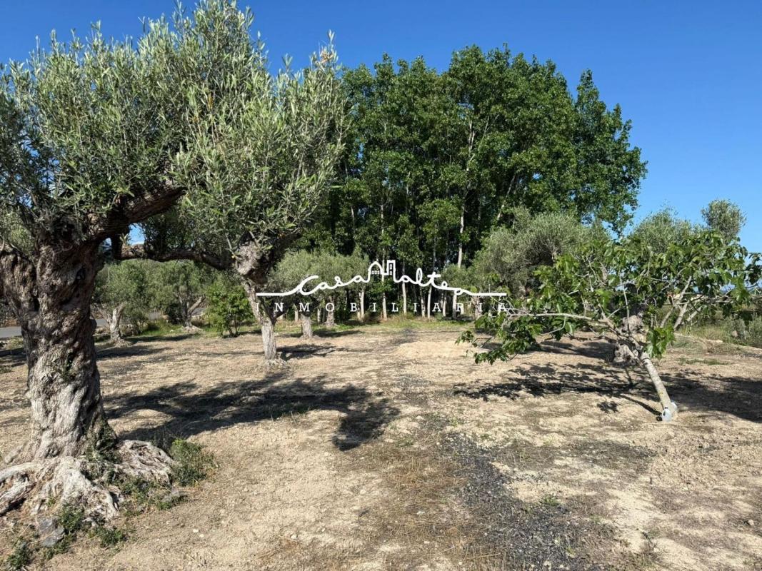 Land for sale in Altea, Alicante photo 5