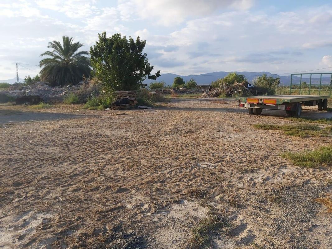 Land for sale in Crevillente, Alicante photo 2