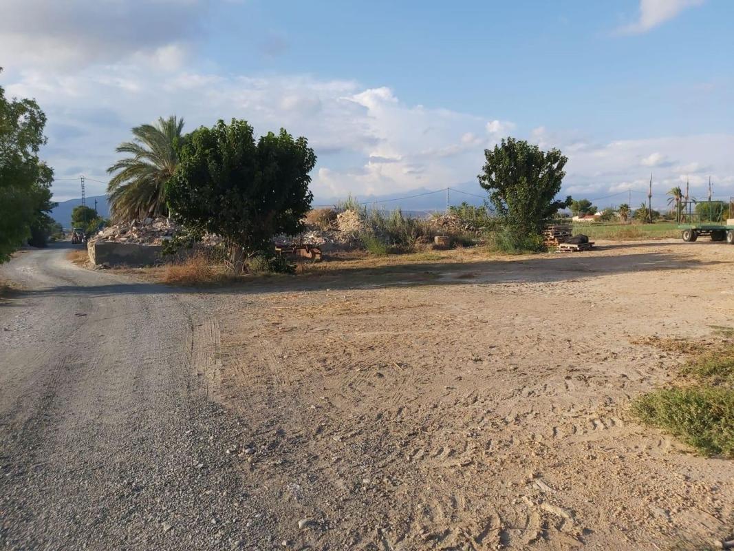 Land for sale in Crevillente, Alicante photo 3