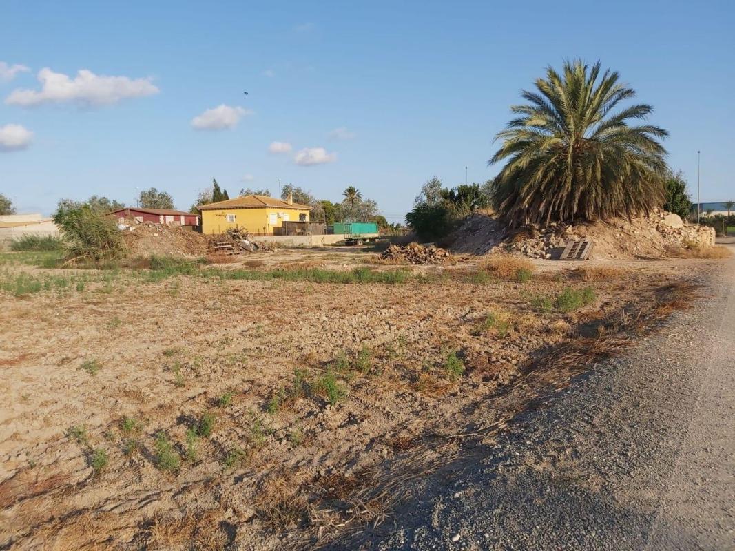 Land for sale in Crevillente, Alicante photo 5