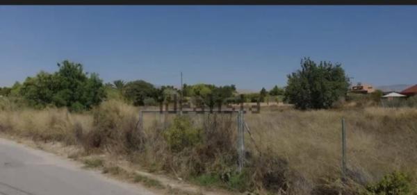 Terreno en Camino Juncaret, 19, Sol y Luz, San Vicente del Raspeig photo 2