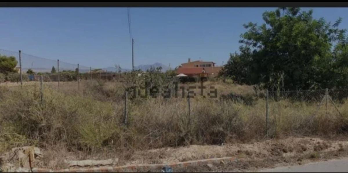 Terreno en venta en San Vicente del Raspeig, Alicante photo 4
