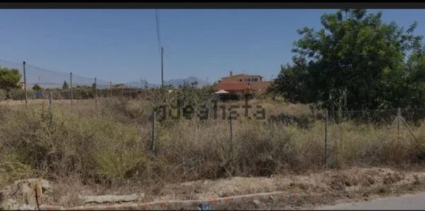 Terreno en Camino Juncaret, 19, Sol y Luz, San Vicente del Raspeig photo 4