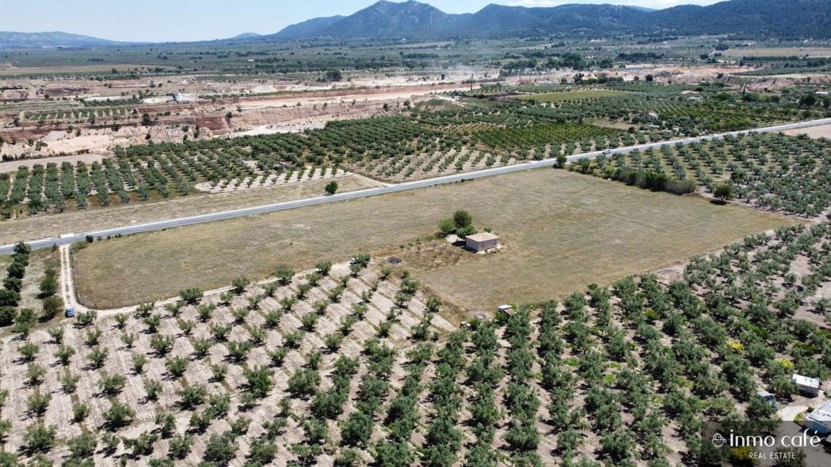 Terreno en venta en Biar, Alicante photo 4