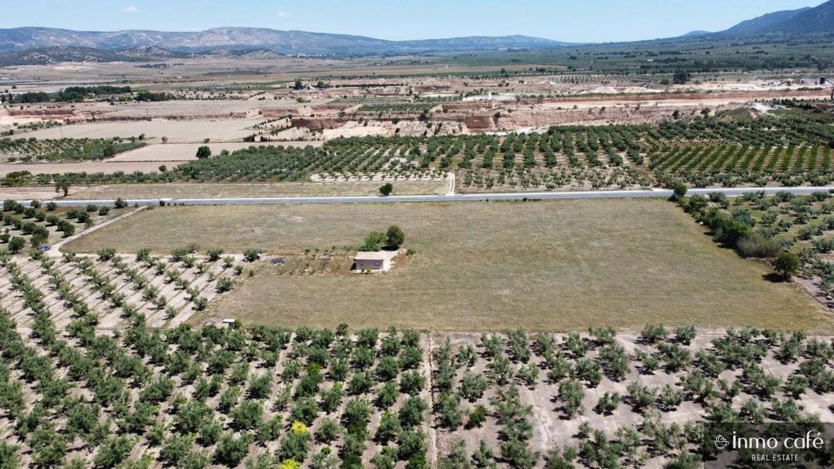 Terreno en venta en Biar, Alicante photo 5