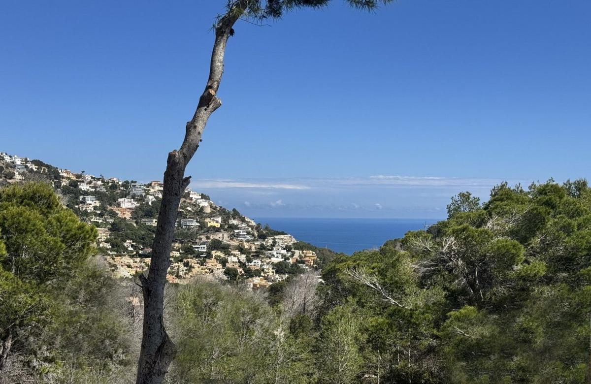Terreno en venta en Altea, Alicante photo 2