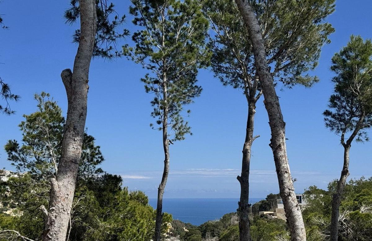 Terreno en venta en Altea, Alicante photo 3