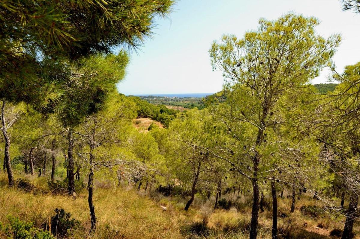 Land for sale in Altea, Alicante photo 1