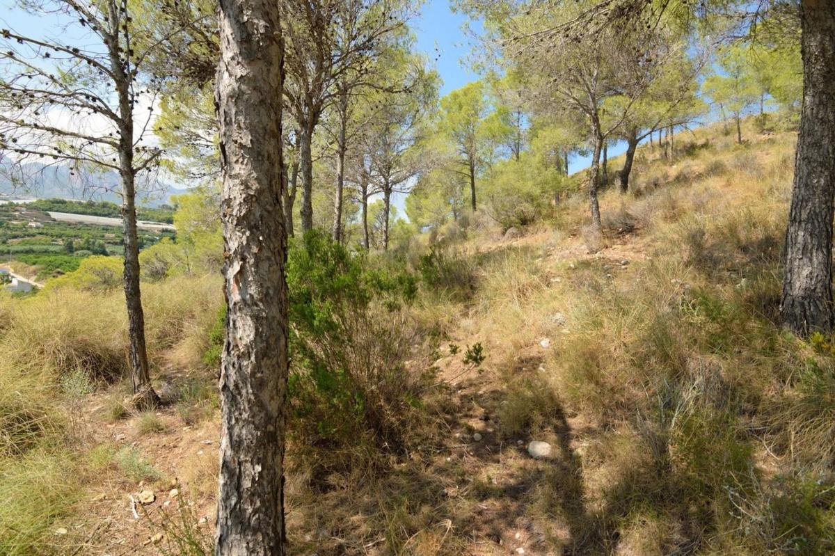Land for sale in Altea, Alicante photo 2