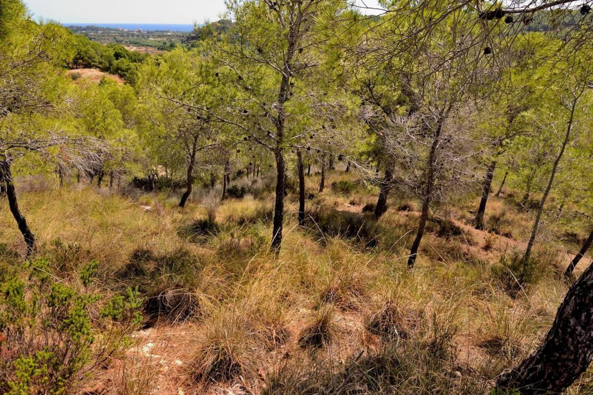 Land for sale in Altea, Alicante photo 4