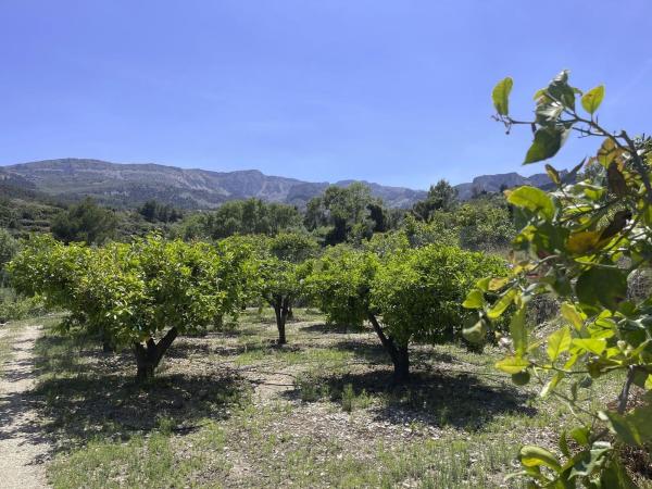Terreno en Beniarda photo 2