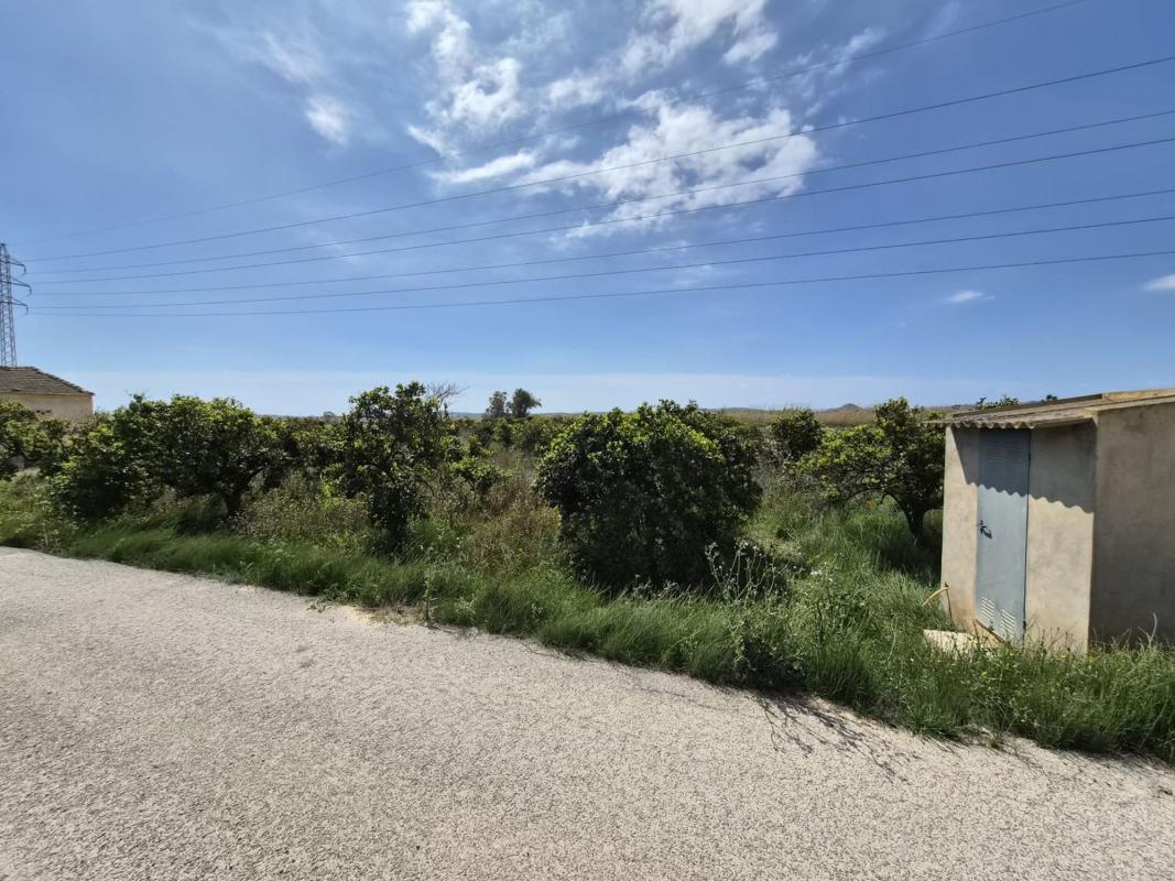 Terreno en venta en Guardamar del Segura, Alicante photo 2