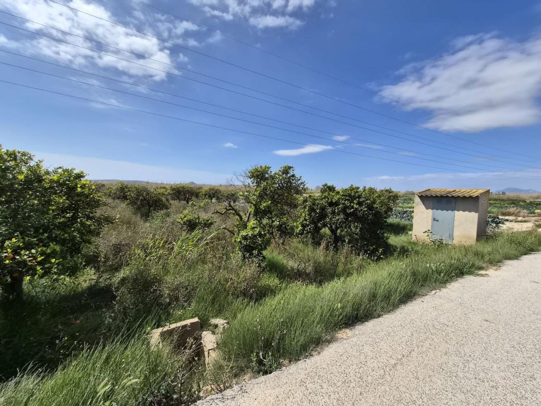 Terreno en venta en Guardamar del Segura, Alicante photo 4